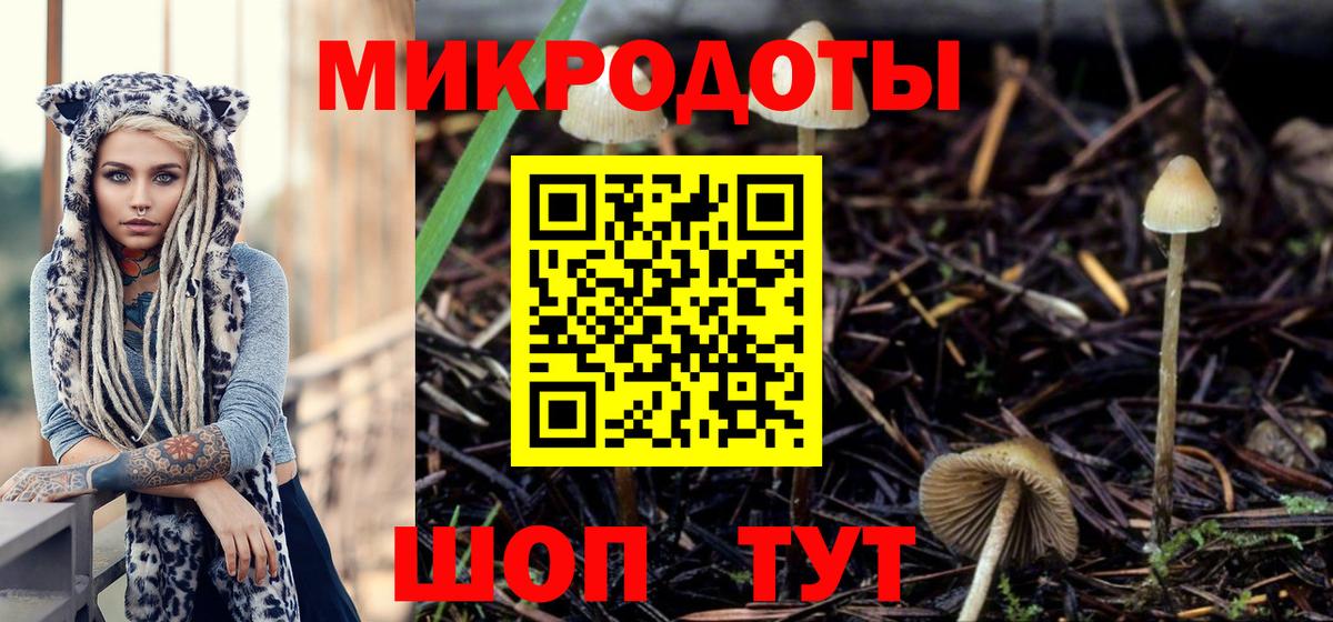 Псилоцибиновые грибы прущие грибы Красный Сулин